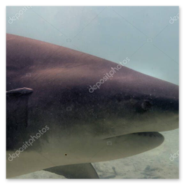 TikTok-Clip Symbolbild